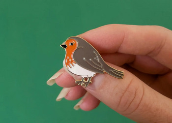 Free Robin pin badge & certificate for kids