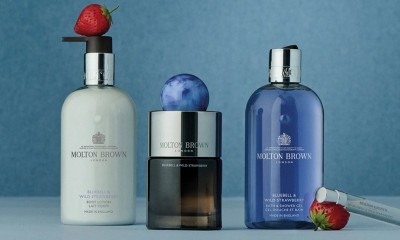 Free Bluebell & Wild Strawberry Collection