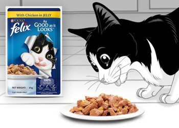 Free Felix Cat Food