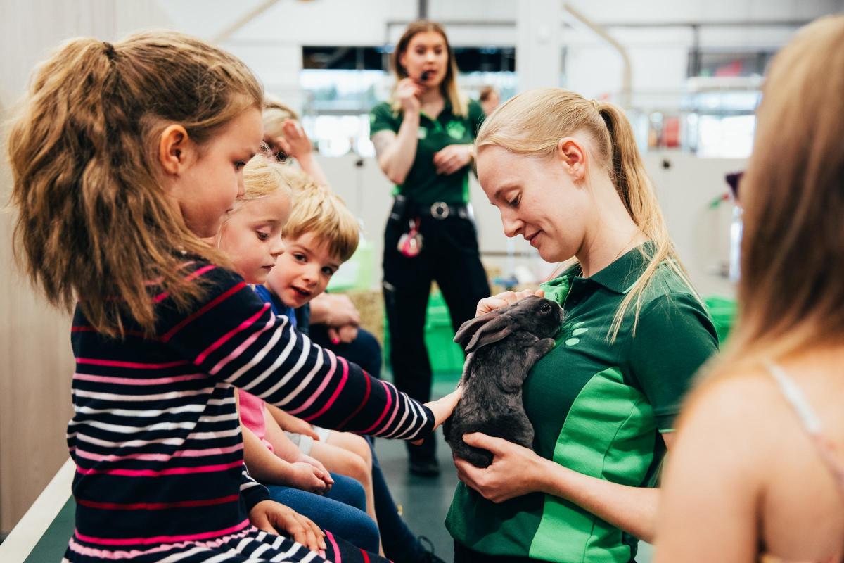 Free workshops for kids at Pets At Home