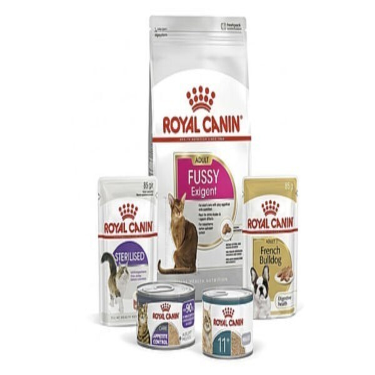 Free Royal Canin Pet Food
