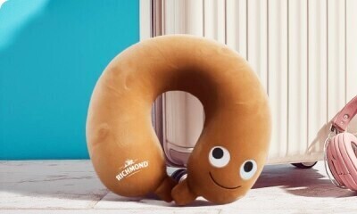 Free Richmond Travel Neck Pillow