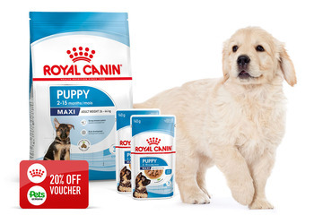 Free Royal Canin Dog food