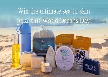 Free Doctor Seaweed Bundle