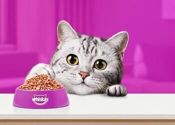 Free Giveaway From Whiskas -15,369 Available!