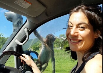 Free ticket to Longleat Safari Park for Mums